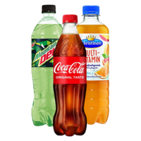 PET-Flasche 0,5l